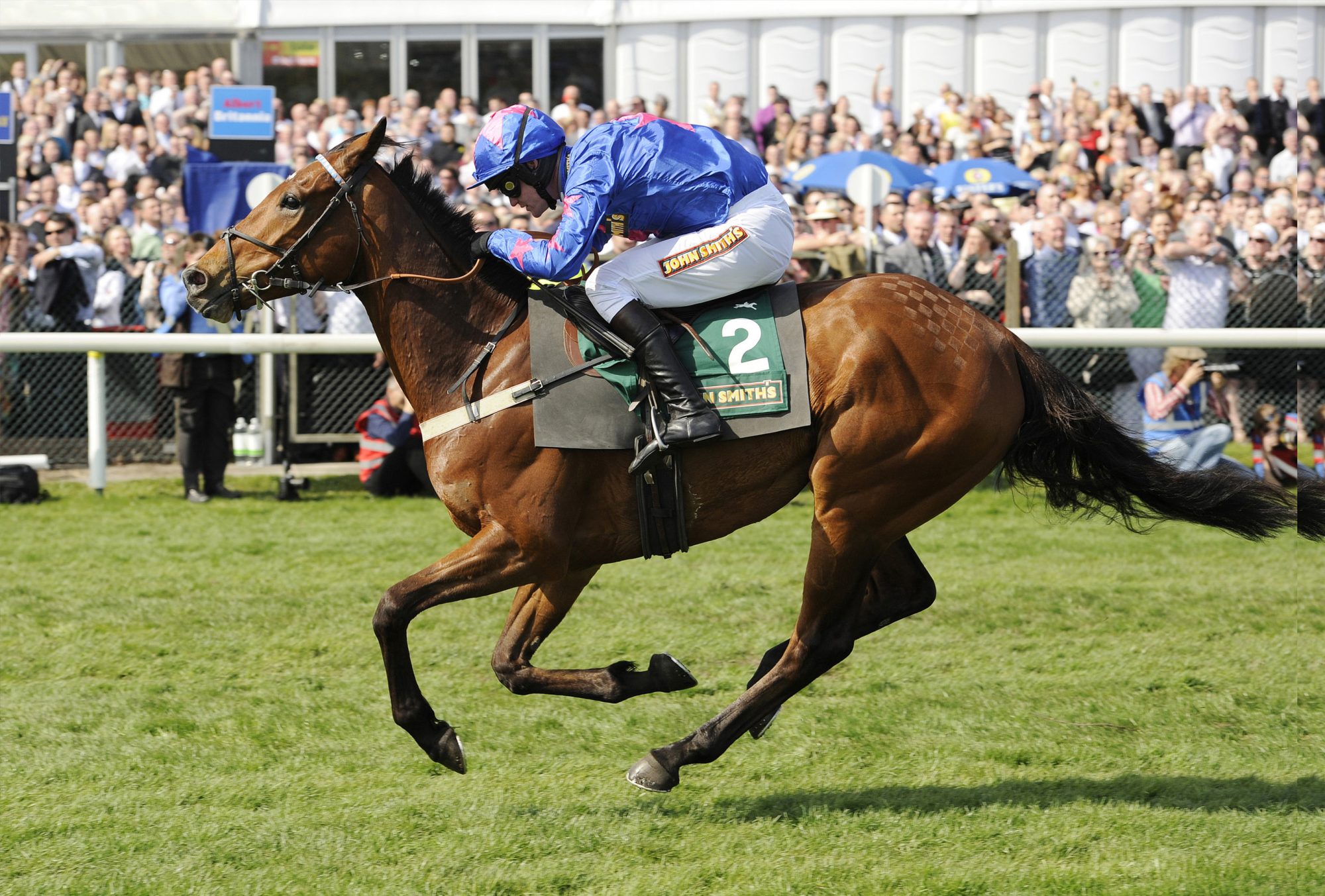 Horse racing